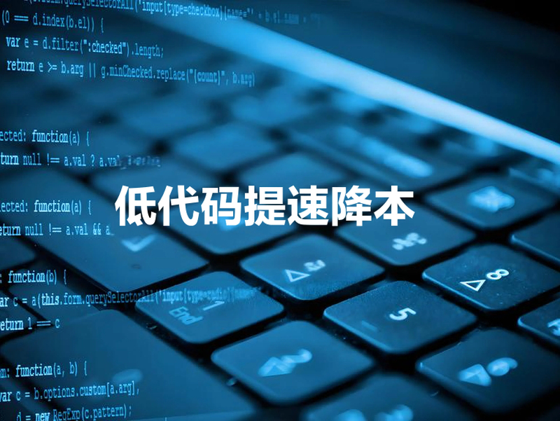 低代碼平臺(tái)降低成本