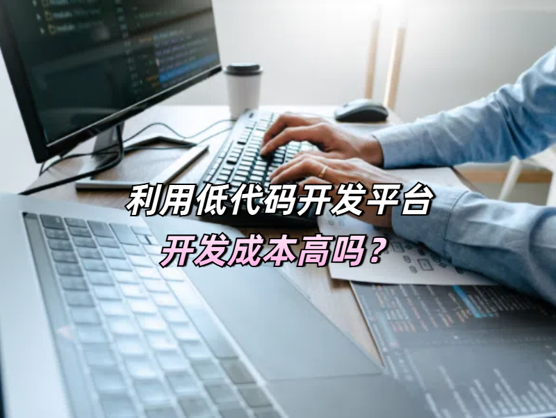 利用低代碼開發(fā)平臺(tái)開發(fā)成本高嗎？成本的“雙刃劍”與價(jià)值新范式