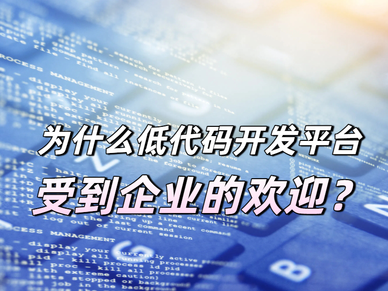 為什么低代碼開發(fā)平臺受到企業(yè)的歡迎?